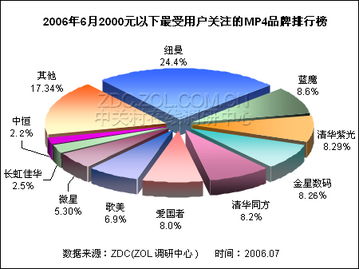 國產(chǎn)MP4廠商包攬低端市場(chǎng)全席 市場(chǎng)調(diào)查分析